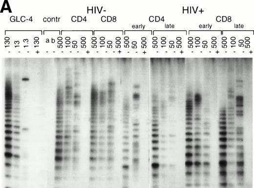 Fig. 2. Upregulation of telomerase activity in CD4+and CD8+ T cells after in vitro stimulation. PBMC were cultured in vitro for 4 days with CD3 MoAbs and telomerase activity was analyzed in extracts prepared from purified CD4+ and CD8+ T cells. (A) Telomerase activity in 500, 100, and 50 cell equivalents from one healthy control (HIV-) and one representative HIV-positive individual (HIV+) early and late (3 years after seroconversion, 1 year before AIDS) in infection is shown as described in Fig 1A. (B) Representative fluorescence curves showing telomerase activity in activated CD4+ and CD8+ T cells and M-ITAS. Lanes 1 and 2, CD4+ and CD8+ T cells from a second healthy control (10,000 cell equivalents); lanes 3 and 4, CD4+and CD8+ T cells from HIV+ early in infection (id); lanes 5 and 6, CD4+ and CD8+ T cells from HIV+ late in infection (id); lanes 7 and 8, GLC4 (100 cell equivalents) and lysis buffer. (C) Telomerase activity in CD4+ and CD8+ T cells after activation in vitro in four HIV-infected individuals early and late in infection as analyzed with the original TRAP assay.