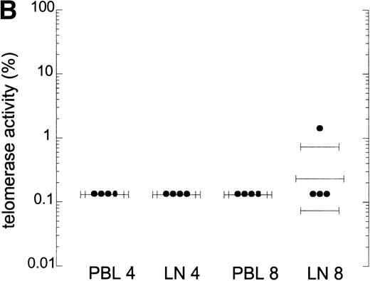 Fig. 4. Telomerase activity in lymph nodes and bone marrow from HIV-infected patients. (A) Telomerase activity in extracts equivalent to 105, 104, and 103 purified CD4+ and CD8+ T cells isolated from PB (CD4 and CD8) and lymph node tissue (LN, CD4 and CD8) shown for one representative HIV-infected individual. (B) Telomerase activity in CD4+ and CD8+ T cells isolated from PB and LN from four HIV-infected individuals, as analyzed by the original TRAP assay. (C) Telomerase activity in extracts equivalent to 104, 103, and 102 total bone marrow cells from two HIV-infected patients after AIDS diagnosis and two HIV− controls. Total bone marrow cell samples contained approximately 40% to 45% CD3+ cells, 4% CD19+ cells, and 2% CD34+ cells. In bone marrow samples from the AIDS patients, the percentage of CD4+ cells was decreased (6.5% compared with 15% in HIV− samples) and the percentage CD8+ cells was increased (30% compared with 18%).
