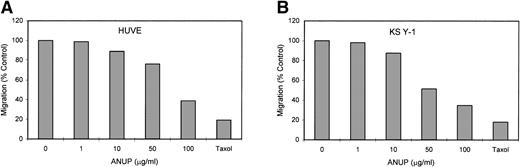 Fig. 3. ANUP inhibits KS cell migration. Migration assays were performed in double-chamber wells separated by a fibronectin-coated membrane. Chemotaxis was induced by addition bFGF (25 ng/mL) to the lower chamber. Cells (5 × 104/mL) were placed in the upper chamber in the presence and absence of test compounds. Taxol 10 ng/mL was used as a positive control. Migration of (A) endothelial cells or (B) KS cells across the membrane was quantified after overnight incubation. Representative photographs (original magnification ×360) for controls, various concentrations of ANUP, and taxol are shown for (C) endothelial cells and (D) KS Y-1 cells (see page 1039). Cells that migrated to the underside of the transwell membrane are shown; cells that did not migrate were removed from the upper surface of the membrane with a cotton swab prior to microscopy.