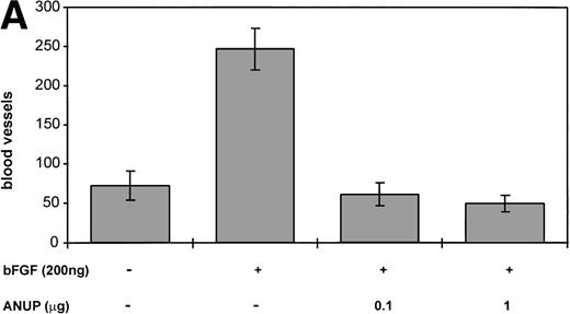 Fig. 4. (A) ANUP inhibits angiogenesis in CAM assays. Filter disks soaked in buffer alone, bFGF alone, or bFGF and test compounds in a total volume of 10 μL were used on 10-day-old CAMs. CAMs harvested after 48 hours were resected and photographed, and the number of branching blood vessels was counted within the area of each disk. The assay represents the mean ± SE of ≥8 CAMs per test group. Assays were repeated at least twice, with similar results. (B) Representative photographs (original magnification ×40) of control group receiving buffer only, bFGF alone (200 ng), and bFGF plus ANUP (0.1 μg).