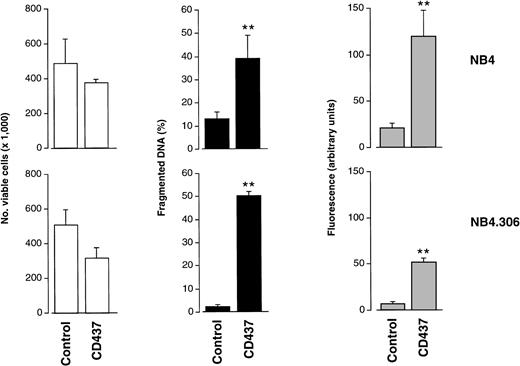Fig. 4. Effects of CD437 on viability, DNA fragmentation, and DEVD-amc hydrolytic activity in the ATRA-resistant NB4.306 cell line. NB4 or NB4.306 cells (300,000/mL) were treated for 10 hours with vehicle (DMSO, Control) or with 10−6 mol/L CD437. At the end of the treatment cells were obtained and processed for analysis. White columns indicate the number of viable cells (erythrosin staining), black columns indicate the amount of fragmented DNA (diphenylamine assay), and shaded columns indicate DEVD-amc hydrolytic activity. Results are the mean ± SD of three separate culture dishes.