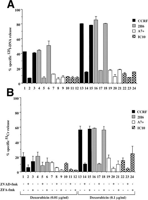 Fig. 2. Drug-selected and retroviral transduced P-gp+ve cells are resistant to DOX-mediated, caspase-dependent DNA fragmentation and membrane lysis. Drug-selected CEM cell lines (P-gp−ve CCRF, 2H6; P-gp+veA7+, IC10) (A, B) and parental 12D7 (P-gp−ve) and retrovirus transduced 12D7-MDR1 (P-gp+ve) cells (E, F) were labeled with125IUdR and 51Cr for 1 hour, washed in growth media, and incubated for 48 hours in 96-well plates (2 × 104 cells/well) with DOX. In some wells, cells were preincubated for 30 minutes with 20 μmol/L ZVAD-fmk or control ZFA-fmk inhibitor as indicated in Table 1. P-gp+ve cells were made sensitive to DOX-mediated DNA fragmentation (C) and membrane lysis (D) by preincubation with anti–P-gp MoAb, MRK 16 (50 μg/mL). DNA fragmentation and membrane lysis were reflected by125I-DNA release (A, C, E) and 51Cr release (B, D, F), respectively. Data are calculated as the mean ± SE of triplicate samples and are representative of a least two different experiments.