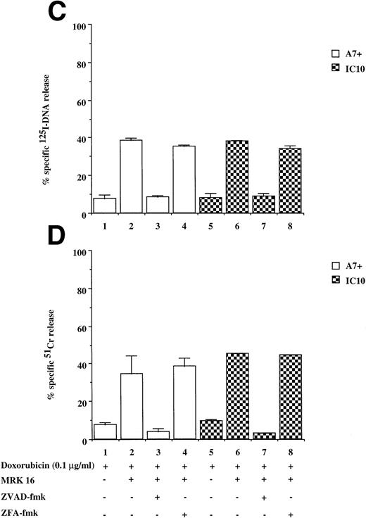 Fig. 2. Drug-selected and retroviral transduced P-gp+ve cells are resistant to DOX-mediated, caspase-dependent DNA fragmentation and membrane lysis. Drug-selected CEM cell lines (P-gp−ve CCRF, 2H6; P-gp+veA7+, IC10) (A, B) and parental 12D7 (P-gp−ve) and retrovirus transduced 12D7-MDR1 (P-gp+ve) cells (E, F) were labeled with125IUdR and 51Cr for 1 hour, washed in growth media, and incubated for 48 hours in 96-well plates (2 × 104 cells/well) with DOX. In some wells, cells were preincubated for 30 minutes with 20 μmol/L ZVAD-fmk or control ZFA-fmk inhibitor as indicated in Table 1. P-gp+ve cells were made sensitive to DOX-mediated DNA fragmentation (C) and membrane lysis (D) by preincubation with anti–P-gp MoAb, MRK 16 (50 μg/mL). DNA fragmentation and membrane lysis were reflected by125I-DNA release (A, C, E) and 51Cr release (B, D, F), respectively. Data are calculated as the mean ± SE of triplicate samples and are representative of a least two different experiments.