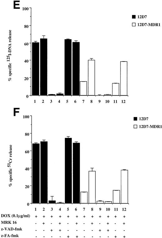 Fig. 2. Drug-selected and retroviral transduced P-gp+ve cells are resistant to DOX-mediated, caspase-dependent DNA fragmentation and membrane lysis. Drug-selected CEM cell lines (P-gp−ve CCRF, 2H6; P-gp+veA7+, IC10) (A, B) and parental 12D7 (P-gp−ve) and retrovirus transduced 12D7-MDR1 (P-gp+ve) cells (E, F) were labeled with125IUdR and 51Cr for 1 hour, washed in growth media, and incubated for 48 hours in 96-well plates (2 × 104 cells/well) with DOX. In some wells, cells were preincubated for 30 minutes with 20 μmol/L ZVAD-fmk or control ZFA-fmk inhibitor as indicated in Table 1. P-gp+ve cells were made sensitive to DOX-mediated DNA fragmentation (C) and membrane lysis (D) by preincubation with anti–P-gp MoAb, MRK 16 (50 μg/mL). DNA fragmentation and membrane lysis were reflected by125I-DNA release (A, C, E) and 51Cr release (B, D, F), respectively. Data are calculated as the mean ± SE of triplicate samples and are representative of a least two different experiments.