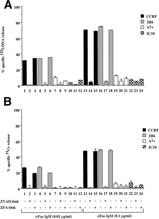 Fig. 3. Drug-selected and retroviral-transduced P-gp+ve cells are resistant to Fas-mediated, caspase-dependent DNA fragmentation and membrane lysis. CEM cell lines (A, B) (P-gp−ve CCRF, 2H6; P-gp+veA7+, IC10), parental 12D7 (P-gp−ve), and retrovirus-transduced 12D7-MDR1 (P-gp+ve) cells (E, F) were labeled with 125IUdR and 51Cr for 1 hour, washed in growth media, and incubated for 16 hours in 96-well plates (2 × 104 cells/well) with anti-human Fas IgM MoAb, CH-11 (0.01 μg/mL). In some wells, cells were preincubated for 30 minutes with 20 μmol/L ZVAD-fmk or control ZFA-fmk inhibitor and/or anti–P-gp MoAb MRK 16 (50 μg/mL) as indicated in Table 1. CCRF and A7+ cells (C), (D) were preincubated with the given concentrations of anti–P-gp MRK 16 MoAb (1 to 50 μg/mL) or UIC2 MoAb (0.1 to 5 μg/mL), then treated with 0.01 μg/mL anti-Fas MoAb for 16 hours. Data are calculated as the mean ± SE of triplicate samples and are representative of at least two different experiments.