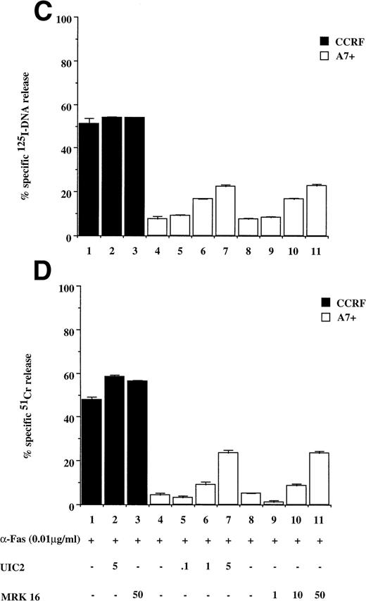 Fig. 3. Drug-selected and retroviral-transduced P-gp+ve cells are resistant to Fas-mediated, caspase-dependent DNA fragmentation and membrane lysis. CEM cell lines (A, B) (P-gp−ve CCRF, 2H6; P-gp+veA7+, IC10), parental 12D7 (P-gp−ve), and retrovirus-transduced 12D7-MDR1 (P-gp+ve) cells (E, F) were labeled with 125IUdR and 51Cr for 1 hour, washed in growth media, and incubated for 16 hours in 96-well plates (2 × 104 cells/well) with anti-human Fas IgM MoAb, CH-11 (0.01 μg/mL). In some wells, cells were preincubated for 30 minutes with 20 μmol/L ZVAD-fmk or control ZFA-fmk inhibitor and/or anti–P-gp MoAb MRK 16 (50 μg/mL) as indicated in Table 1. CCRF and A7+ cells (C), (D) were preincubated with the given concentrations of anti–P-gp MRK 16 MoAb (1 to 50 μg/mL) or UIC2 MoAb (0.1 to 5 μg/mL), then treated with 0.01 μg/mL anti-Fas MoAb for 16 hours. Data are calculated as the mean ± SE of triplicate samples and are representative of at least two different experiments.