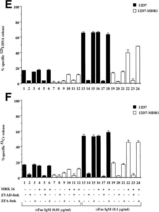 Fig. 3. Drug-selected and retroviral-transduced P-gp+ve cells are resistant to Fas-mediated, caspase-dependent DNA fragmentation and membrane lysis. CEM cell lines (A, B) (P-gp−ve CCRF, 2H6; P-gp+veA7+, IC10), parental 12D7 (P-gp−ve), and retrovirus-transduced 12D7-MDR1 (P-gp+ve) cells (E, F) were labeled with 125IUdR and 51Cr for 1 hour, washed in growth media, and incubated for 16 hours in 96-well plates (2 × 104 cells/well) with anti-human Fas IgM MoAb, CH-11 (0.01 μg/mL). In some wells, cells were preincubated for 30 minutes with 20 μmol/L ZVAD-fmk or control ZFA-fmk inhibitor and/or anti–P-gp MoAb MRK 16 (50 μg/mL) as indicated in Table 1. CCRF and A7+ cells (C), (D) were preincubated with the given concentrations of anti–P-gp MRK 16 MoAb (1 to 50 μg/mL) or UIC2 MoAb (0.1 to 5 μg/mL), then treated with 0.01 μg/mL anti-Fas MoAb for 16 hours. Data are calculated as the mean ± SE of triplicate samples and are representative of at least two different experiments.