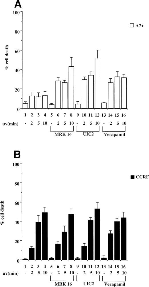 Fig. 4. P-gp+ve cells are resistant to cell death induced by UV irradiation. A7+ and CCRF cells, 4 × 104 cells in 3-mL media, were subjected to UV-irradiation (2 to 10 minutes), removed from the UV source, and incubated for 24 hours. Cell viability was determined by Trypan blue exclusion and confirmed by fluorescence analysis following staining with PI (data not shown). In some wells, cells were preincubated with MRK 16 (50 μg/mL), UIC2 (5 μg/mL), or verapamil (5 μmol/L) for 30 minutes. Data are calculated as the mean ± SE of quadruplicate samples and are representative of at least two different experiments.