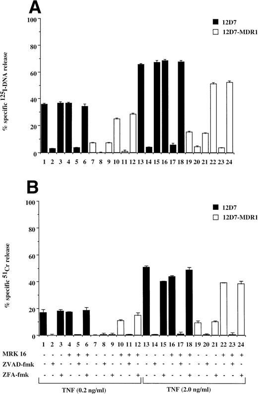 Fig. 5. Retroviral transduced P-gp+ve cells are resistant to TNF-mediated, caspase-dependent DNA fragmentation and membrane lysis. Parental 12D7 (P-gp−ve) and retrovirus-transduced 12D7-MDR1 (P-gp+ve) cells were labeled with 125IUdR (A) and 51Cr (B) for 1 hour, washed in growth media, and incubated for 48 hours in 96-well plates (2 × 104 cells/well) with recombinant soluble TNF (0.2 and 2.0 μg/mL). In some wells, cells were preincubated for 30 minutes with 20 μmol/L ZVAD-fmk or control ZFA-fmk inhibitor and/or anti–P-gp MoAb MRK 16 (50 μg/mL) as indicated in Table 1. Data are calculated as the mean ± SE of triplicate samples and are representative of at least two different experiments.
