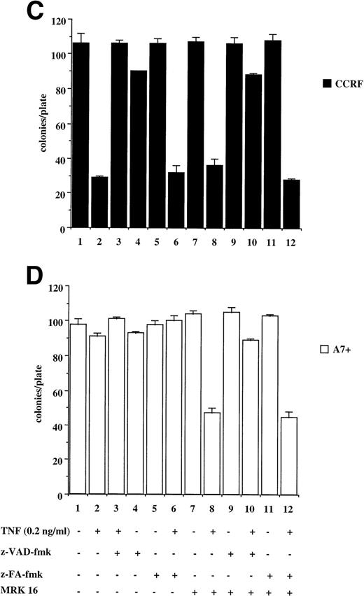 Fig. 6. P-gp+ve cells treated with caspase-dependent apoptotic stimuli retain proliferative and colony-forming ability. CCRF (A, C) and A7+ (B, D) cells (4 × 104 cells/mL) were treated with anti-Fas MoAb (0.01 mg/mL) (A, B) for 16 hours, or with recombinant soluble TNF (0.2 ng/mL) (C, D) for 48 hours. Cells were assayed for colony-forming ability by plating out 5 μL of cells in soft agar and incubating at 37°C for 12 days. In some wells, cells were preincubated for 30 minutes with 20 μmol/L ZVAD-fmk or control ZFA-fmk inhibitor and/or anti–P-gp MoAb MRK 16 (50 μg/mL) as indicated in Table 1. Data are calculated as the mean ± SE of triplicate plates and are representative of at least two different experiments.