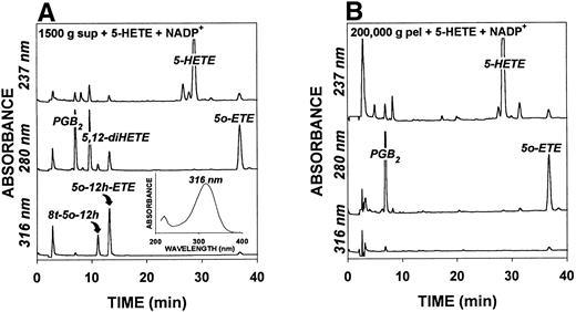 Fig. 1. HPLC profiles of products formed by platelet subcellular fractions. Platelet sonicates were centrifuged at 1,500g for 10 minutes and the supernatant centrifuged successively at 10,000gfor 10 minutes and 200,000g for 60 minutes as described in Materials and Methods. The 1,500g supernatant (A) and the 200,000g pellet (B) fractions (equivalent to 2 × 107 platelets/mL) were incubated for 40 minutes at 37°C with 5-HETE (2 μmol/L) in the presence of NADP+ (1 mmol/L). The products were analyzed by precolumn extraction/RP-HPLC on a Novapak C18 column (3.9 × 300 mm) using a gradient between water/acetonitrile/acetic acid (50:50:0.02) and water/acetonitrile/acetic acid (40:60:0.02) over 30 minutes, followed by isocratic elution with 60% acetonitrile for a further 10 minutes. PGB2 (90 ng) was added as an internal standard. The inset to (A) shows the UV spectrum of biologically synthesized 5-oxo-12-HETE, which was identical to that of the chemically synthesized compound.