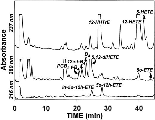 Fig. 2. HPLC profile of products formed after incubation of a mixture of platelets and neutrophils with A23187 and PMA. Platelets (2 × 108/mL) and neutrophils (5 × 106/mL) were incubated for 30 minutes at 37°C with A23187 (5 μmol/L) and PMA (30 nmol/L). After addition of the internal standard (200 ng PGB2), the products were analyzed by precolumn extraction/RP-HPLC as described in Materials and Methods. Abbreviations: B4, LTB4; t-B4, 6-trans-LTB4; 12e-t-B4, 12-epi-6-trans-LTB4; 5o-12h-ETE, 5-oxo-12-HETE; 8t-5o-12h-ETE, 8-trans-5-oxo-12(RS)-HETE.