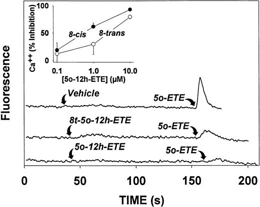 Fig. 8. Effects of 5-oxo-12-HETE and 8-trans-5-oxo-12-HETE on cytosolic calcium levels in human neutrophils. Neutrophils (3 × 106 cells/mL) loaded with calcium green-1 were treated with either vehicle, 5-oxo-12-HETE (10 μmol/L; 8-cis) or 8-trans-5-oxo-12-HETE (10 μmol/L; 8-trans). Approximately 2 minutes later, 5-oxo-ETE (10 nmol/L) was added. Fluorescence was measured as described in Materials and Methods. The inset shows the inhibitory effects of different concentrations of 5-oxo-12-HETE (•) and 8-trans-5-oxo-12-HETE (○) on calcium mobilization induced by addition of 5-oxo-ETE (10 nmol/L). The values are means ± SE of determinations on platelets from three different donors.