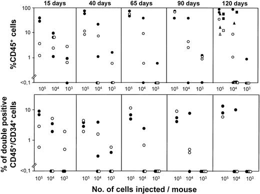 Fig. 2. Cell dose-dependent engraftment of NOD/SCID mice transplanted with fresh or ex vivo–expanded human CD34+ CB cells. The figure represents the proportion of CD45+ and double-positive CD45+/CD34+ cells in the femoral BM of NOD/SCID mice transplanted with 105, 104, and 103 fresh CD34+ CB cells (•) or with the IL-3/IL-6/SCF ex vivo–expanded populations, which corresponded to the incubation of 105, 104, and 103fresh CD34+ cells (○). BM was periodically sampled from day 15 to day 120 posttransplantation. At day 120 posttransplantation, data from spleen (squares), and PB (triangles) are also represented. Samples were ex vivo–expanded with FBS plus IL-3/IL-6/SCF, as indicated in Fig 1.