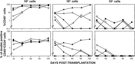 Fig. 3. Kinetics of engraftment of individual NOD/SCID mice transplanted with fresh or ex vivo–expanded CD34+ cells. The figure represents the individual kinetics of engraftment of NOD/SCID mice shown in Fig 2, which were transplanted with fresh (closed symbols) or with the equivalent cell product generated after incubation with IL-3/IL-6/SCF (open symbols). For further details, see legend to Fig 2.
