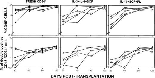 Fig. 4. Kinetics of engraftment of individual NOD/SCID mice transplanted with fresh and two different types of ex vivo– expanded CD34+ cells. The figure represents the individual kinetics of engraftment of NOD/SCID mice transplanted with fresh CD34+ cells (105 cells/mouse; closed symbols) or with the ex vivo–expanded product generated after a 6-day incubation of 105 fresh CD34+ cells in the presence of IL-3/IL-6/SCF (○) and IL-11/SCF/FLT3L (▵).