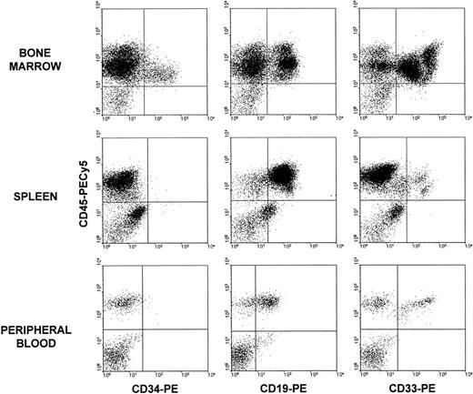 Fig. 6. Multilineage repopulation ability of IL-3/IL-6/SCF ex vivo–expanded samples. BM, spleen, and PB of NOD/SCID mice were examined at 120 days posttransplantation. Histograms represent cells labeled with anti–CD45-PECy5 and anti–CD34-PE, anti–CD19-PE, or anti–CD33-PE antibodies. Quadrants were set according to isotype-matched negative control stainings.