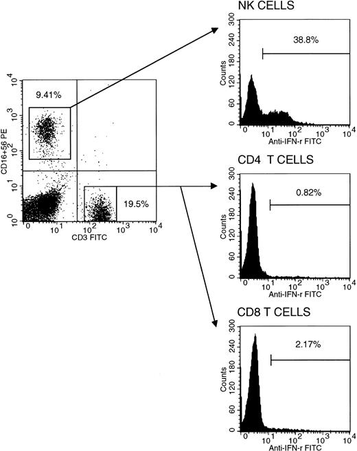Fig. 1. Intracellular IFN-γ staining in cord blood NK cells, CD4+, and CD8+ T cells. NK cells with CD3−/CD16+/CD56+ phenotype isolated by fluorescence-activated cell sorting using FACS vantage flow cytometer (purity >90%), together with CD4+ (purity >98%) and CD8+ (purity >85%) separated from the CD16/56-negative fraction by positive immunomagnetic separation were separately stimulated and stained for cytokine production capability as reported.2 Representative histograms are shown with respective percentages of IFN-γ+cells. Mean populations (±SD) of IFN-γ–producing NK cells (n = 9), CD4+ (n = 17), and CD8+ (n = 8) T cells in cord blood are 19.12% ± 9.53%, 1.15% ± 0.62%, and 3.70% ± 1.58%, respectively.