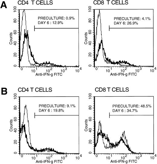 Fig. 2. Intracellular IFN-γ staining in cultured T cells. CB and AB mononuclear cells were cultured over 6 days with anti-CD3 MoAb (1:5,000 diluted OKT3 immune ascities) and IL-2 (20 U/mL). Preculture and on day 6, cells were harvested separating CD4+ and CD8+ T cells by positive selection, stimulated, and stained for intracellular IFN-γ production capability as described.2 Representative histograms of preculture (plain line) and day 6 (bold line) CB (A) and AB (B) T cells are shown with percentages of positive cells.