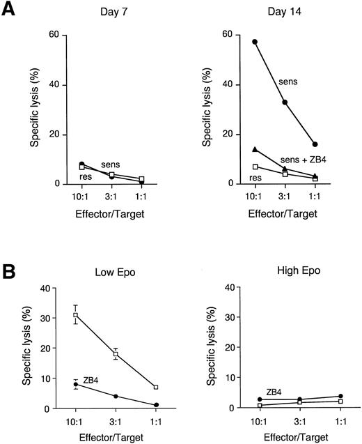 Fig. 5. FasL is functional in mature erythroblasts and able to kill immature erythroblasts in the absence of high levels of Epo. (A) Cytotoxic activity of day-7 and day-14 erythroblasts toward Fas-sensitive (sens) and Fas-resistant (res) EBV-transformed lymphoblastoid cell lines. Effector and target cells were spun down together and incubated for 8 hours. In some experiments anti-Fas antagonist MoAb ZB4 (10 μg/mL) was added to Fas-sensitive cells (sens + ZB4). Data show a representative experiment out of three performed with cells from different donors. (B) Cytotoxic activity of day 14 erythroblasts toward day-7 erythroblasts pretreated or not with 10 μg/mL ZB4, in the presence of low (30 mU/mL) or high (3 U/mL) amounts of Epo. Effector and target cells were spun down together and incubated for 36 hours. Data show mean ± SD of three experiments performed with cells from different donors.