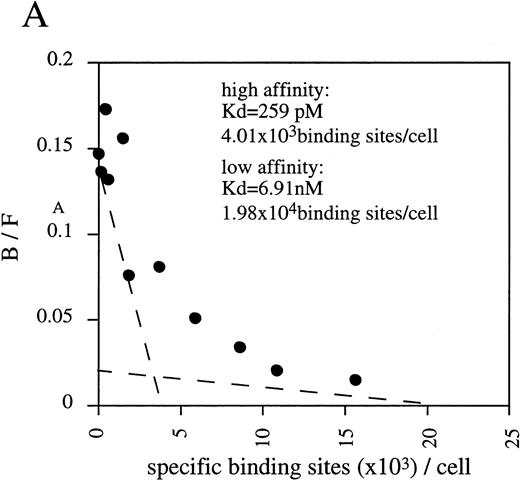 Fig. 1. (A) Scatchard plot analyses of mOSM binding to LO cells. LO cells were incubated with various concentrations of125I-labeled mOSM in the presence or absence of a 1,000-fold excess of unlabeled mOSM. After 3 hours of incubation at 4°C, free mOSM was washed out through a Whatman GF/C glass filter (Maidstone, UK), and the bound radioactivity was measured by a gamma counter. Specific binding was obtained by subtracting nonspecific binding from total binding. Data are plotted according to the Scatchard transformation using the LIGAND program. Each point represents the average of duplicate measurements. The analyses clearly show two distinct affinities. (B) Cross-linking experiment using LO cells. LO cells were incubated with 5 nmol/L 125I-mOSM in the presence or absence of a 1,000-fold excess of unlabeled mOSM. After 4 hours of incubation at 4°C, cross-linked proteins were analyzed by SDS-PAGE.