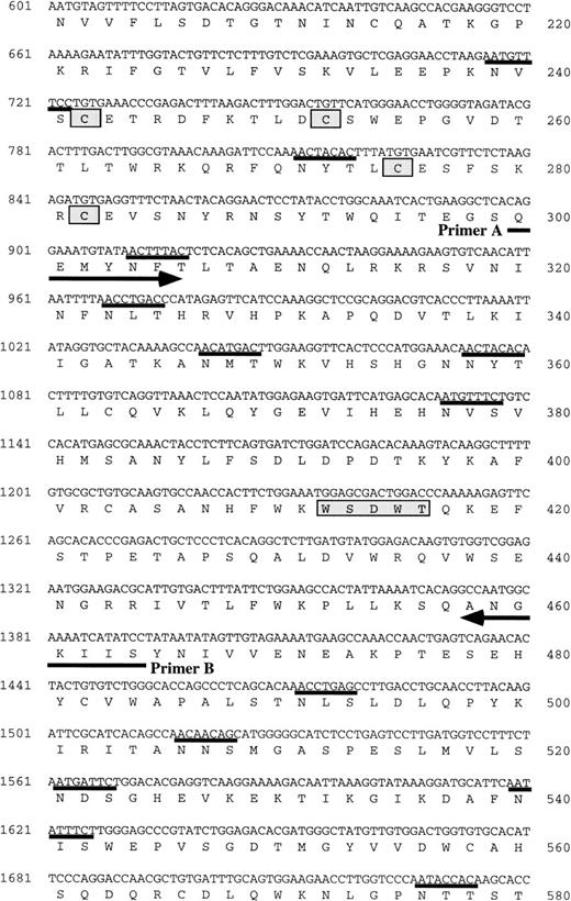 Fig. 2. (A) Schematic representation of the structure of mOSMRβ cDNA. The 5′ and 3′ UTRs (solid line) and the coding region (boxed region) containing the predicted signal sequence (hatched box) and the transmembrane domain (filled box) are shown. The position of cysteines and WS motifs that are conserved among the cytokine receptor superfamily is marked. The location of three overlapping cDNA clones isolated is also indicated. (B) Nucleotide and predicted amino acid sequence of mOSMRβ. Amino acids are shown by the one-letter code. Conserved cysteines and WS motifs are shaded. Potential asparagine-linked glycosylation sites (NXS/T) are underlined. The putative signal sequence and transmembrane domain are shown by a broken line and a double underline, respectively. Primers used to clone the cDNA are also shown as an underline with an arrow. YXXQ motifs are boxed. (C) Comparison of amino acid sequences between mOSMRβ and hOSMRβ. Identical amino acid residues are shown as bold letters.
