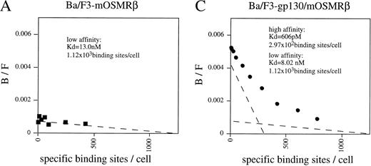Fig. 3. Reconstitution of OSM receptor in Ba/F3 cells. (A) Scatchard plot analysis of Ba/F3 transfectant expressing only mOSMRβ; mOSM binds only to mOSMRβ with low affinity. (B) Chemical cross-linking experiment using Ba/F3 transfectant expressing only mOSMRβ; 125I-mOSM binds to mOSMRβ specifically. (C) Scatchard plot analysis of Ba/F3 transfectant expressing mOSMRβ and gp130; double transfectant exhibits high- and low-affinity binding sites. (D) Growth stimulation of transfectant expressing mOSMRβ and gp130 responding to various ligands. Double transfectant proliferates in a mOSM-dependent manner, while neither hOSM nor mLIF stimulate its growth.