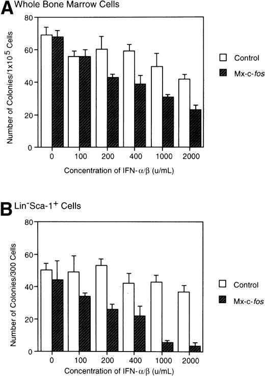 Fig. 2. Inhibitory effect of c-fos on colony formation by primitive hematopoietic stem cells. Total BM cells or Lin−Sca-1+ BM cells from Mx–c-fos mice or control littermates were cultured with SCF, IL-3, and IL-6 with various concentrations of IFN-/β. On day 8 of culture, the number of colonies was scored. Results represent mean and SD of four dishes. The data presented are representative of two independent experiments.