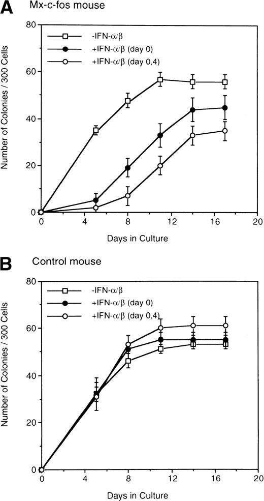 Fig. 3. Kinetics of colony formation by primitive hematopoietic stem cells. Lin−Sca-1+ BM cells (3 × 102) from Mx–c-fos mice or control littermates were cultured with SCF, IL-3, and IL-6 (□). IFN-/β (200 U/mL) was added on day 0 (•), or on day 0 and day 4 (○). The number of colonies was scored every 4 days. Results represent mean and SD of four dishes. The data presented are representative of two independent experiments.