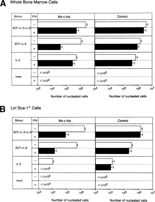 Fig. 5. Inhibitory effect of c-fos on cell proliferation by primitive hematopoietic stem cells. Lin−Sca-1+ BM cells from Mx–c-fos or control littermates were cultured with SCF+IL-3+IL-6, SCF+IL-6, or IL-3. IFN-/β (200 U/mL) was added to the culture on day 0 and day 4. On day 7 of culture, the number of viable cells was counted by Trypan blue dye exclusion. Results represent mean and SD of four dishes. The data presented are representative of three independent experiments. Purified recombinant SCF was used in this experiment.