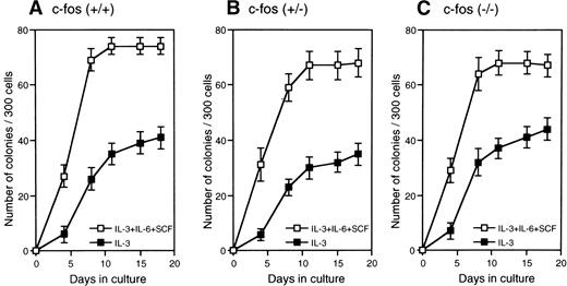 Fig. 8. Kinetics of colony formation by primitive hematopoietic stem cells from c-fos–deficient mice. Lin−Sca-1+ cells (3 × 102) from FL of c-fos–deficient mice or control littermates were cultured with SCF, IL-3, and IL-6 (□), or IL-3 alone (▪). The number of colonies was scored and plotted. Results represent mean and SD of four dishes. The data presented are representative of three independent experiments.