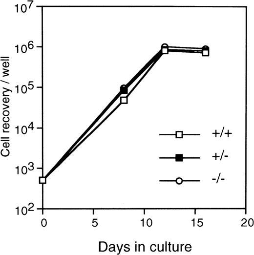Fig. 9. Kinetics of the stroma-dependent hematopoiesis by primitive hematopoietic stem cells from c-fos–deficient mice. Lin−Sca-1+ cells (3 × 102cells/well in 6-well tissue culture plate) from FL of c-fos–deficient mice (○) or control littermates (c-fos+/+, □; c-fos+/−, ▪) were cultured on a PA-6 stromal cell layer. The number of nonadherent cells was counted (see Fig 7 legend). The data presented are representative of three independent experiments.