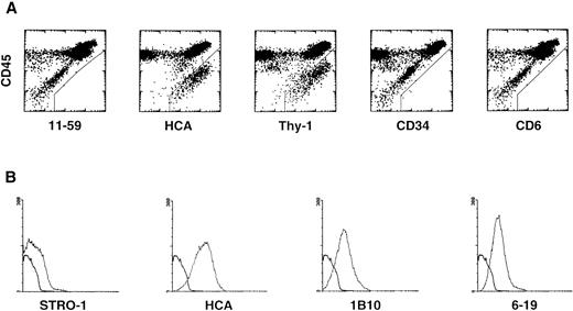 Fig. 3. HCA expression by human BM stromal cells in primary cultures derived from (A) total ABM cells: the cells were stained with MoAbs against rat HCA (11-59), HCA, Thy-1, CD34, and CD6, and with anti-CD45 to discriminate hematopoietic cells; and (B) Stro-1+ stromal progenitors sorted from ABM. For each antibody the fluorescence histogram is presented along with that of an irrelevant antibody of the same isotype (heavy line).