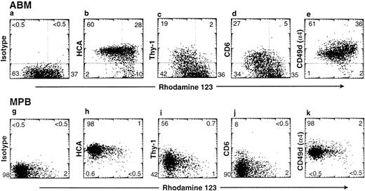 Fig. 4. Expression of adhesion-related antigens on CD34+ cells. ABM mononuclear cells and G-CSF–MPB were processed and stained with rho123 as described in Materials and Methods. Staining profiles of CD34+ gated cells with rho123 versus control isotype, HCA, Thy-1, CD6, and CD49d are shown. The percentage of cells in each quadrant of the plot is indicated.