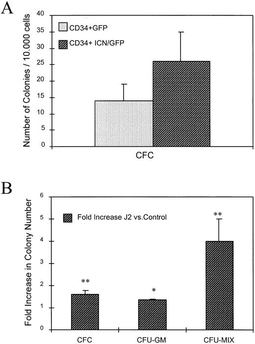 Fig. 3. Effects of Notch activation on colony-forming ability of primary hematopoietic progenitors. (A) CD34+ MSCV-GFP and MSCV-ICN/GFP cells were grown in liquid culture in presence of cytokines. After 2 weeks, cells were obtained and plated in triplicate, at a density of 10,000 cells/mL in methylcellulose supplemented with IL-3, KL, and EPO. Columns represent the average of three experiments. CFC are expressed per 10,000 cells. Error bars represent standard deviation. Difference between the two populations is statistically significant (P = .033). (B) CD34+cocultivated with 3T3pBABE or 3T3pBABE-J2 were obtained and plated in triplicate at the density of 1,000 cells/mL in methylcellulose, as described above. Columns represent fold increase in colony formation by progenitors exposed to Jagged2 versus control in two experiments. CFU-mix included at least two myeloid lineages and erythroid cells as assessed by phase microscopy. Error bars represent standard deviation. *, P = .046; **, P < .03.
