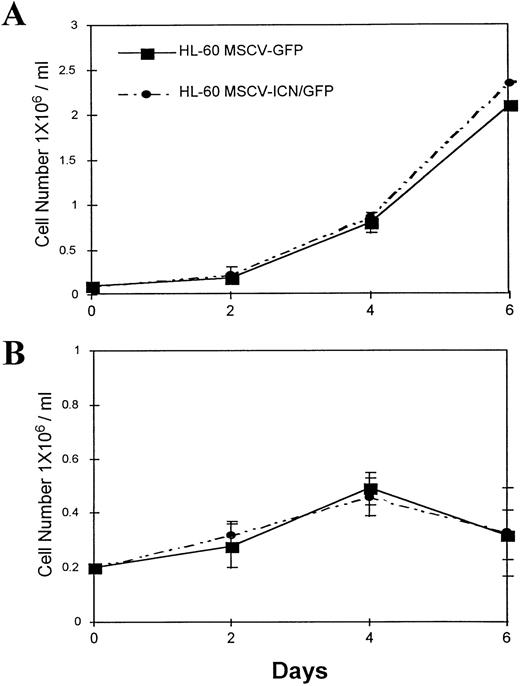 Fig. 6. Effects of activated Notch on HL-60 cell proliferation. Cells were plated at density of 0.1 × 106/mL in RPMI supplemented with 10% FCS (A) and at density of 0.2 × 106/mL in RPMI supplemented with 10% FCS and 1 μmol/L ATRA (B). Each day, cells were obtained, counted, and the percentage of GFP-positive cells determined by flow cytometry. Numbers express the mean of three experiments and represent the absolute number of HL-60 MSCV-GFP– and MSCV-ICN/GFP–positive cells/mL. Error bars represent standard deviation.