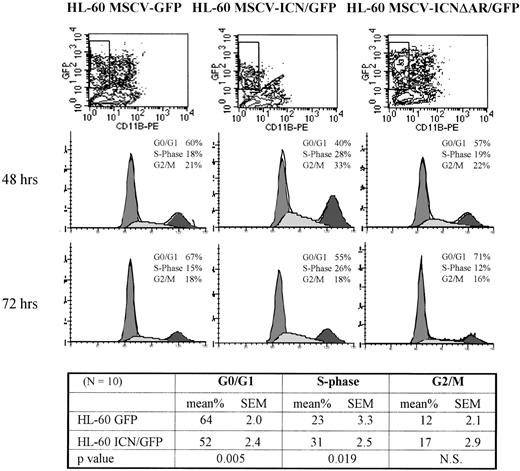 Fig. 8. Effects of activated Notch1 on cell cycle distribution during HL-60 cell differentiation. Transduced HL-60 induced to differentiate in presence of ATRA were analyzed every 24 hours for DNA content and CD11b expression. Cells were harvested, labeled with anti-CD11b-PE MoAb and than stained with the DNA dye TOPRO-3 as described. Top panel: contour plots represent fluorescence intensity for CD11b on the x-axis and for GFP on the y-axis; gates show the populations, GFP-positive and CD11b-negative, selected for DNA analysis. Central panel: cell cycle distribution analyzed on gated populations at 48 and 72 hours after ATRA treatment. Bottom panel: values represent the average of 10 independent observations at days 2, 3, and 4 of ATRA treatment and express the percentage of cells in G0/G1, S-phase and G2/M analyzed as described above.