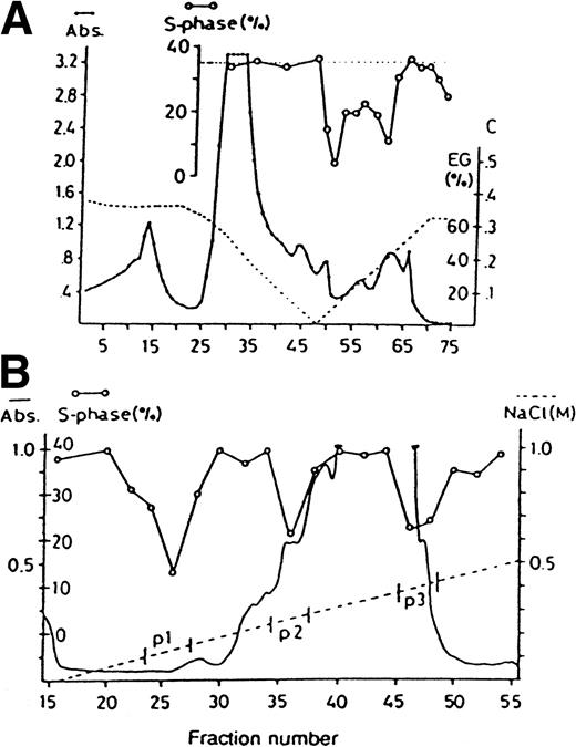 Fig. 1. Purification of LAI. (A) Shows chromatography of HL-60 CM on Phenyl-Sepharose (1/40 similar chromatograms). Protein concentration is shown as absorbance at 280 nm; gradient 1 is shown as the left part of the dotted line and was measured as conductivity (C), and gradient 2 is the right part of the dotted line registered as percentage ethylene glycol (EG%). The insert shows percentage of CFU-GM in S-phase. (B) Shows ion exchange chromatography on MonoQ FPLC (1/22 similar). The gradient of increasing NaCl is shown as a dotted line and three regions of material that was pooled are shown (p1-3). Other symbols as in (A).