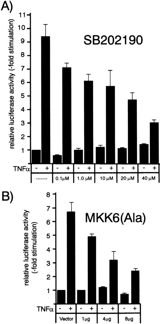 Fig. 8. Concentration/response dependence of increasing amounts of p38 inhibitor SB202190 or dominant negative MKK6 kinase mutant MKK6(Ala) on TNF-–induced MCP-1 promoter activity. HUVEC were transfected with a MCP-1 promoter/enhancer luciferase construct as described in Materials and Methods. (A) Thirty-six hours later, cells were exposed to increasing concentrations of p38 inhibitor SB202190 as indicated and stimulated with 1 ng/mL TNF- 30 minutes later for another 12 hours. Luciferase activity was determined as described in the legend to Fig 7. (B) HUVEC were cotransfected with the MCP-1 promoter/enhancer construct and increasing amounts of MKK6(Ala) as indicated and stimulated with 2 ng/mL TNF- 36 hours later for another 12 hours. Relative luciferase activity is expressed as fold stimulation.
