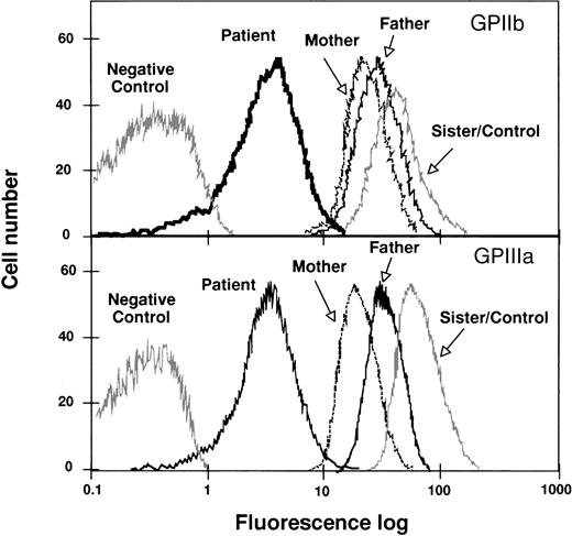 Fig. 1. Flow cytometric analysis of GPIIb-IIIa content in platelets from the proband, her father, mother, and sister. Washed platelets were incubated with anti-GPIIIa or anti-GPIIb MoAbs as described in Materials and Methods. Results are expressed as semilog plots of cell number versus fluorescence intensity. The upper panel shows the surface expression of GPIIb, using the MoAb M3, in platelets from the patient, from her parents and sister, and from a normal unrelated individual. The lower panel represents the surface expression of GPIIIa using the MoAb P37. The negative control represents the fluorescent signal of platelets treated only with the second antibody. The plot corresponding to the sister’s platelets overlaps with the control and, therefore, only one tracing was represented. For the sake of clarity, the original plots have been redrawn.