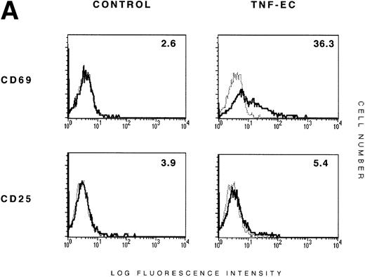 Fig. 1. ECs induce the expression of CD69 on PBTLs. (A) ECs induce the expression of CD69 but not CD25 on PBTLs. PBLs were incubated alone (control) or on fixed TNF-–activated EC monolayers (TNF-EC). After 18 hours of culture, CD69 and CD25 expression on CD3+ cells was analyzed. Dotted lines represent negative control corresponding to P3X63. Numbers correspond to the percent of positive cells. A representative experiment out of three is shown. (B) Induction of CD69 T-cell expression by ECs activated with different stimuli. ECs were incubated with medium alone (untreated) or with IFN-γ (250 U/mL), TNF- (20 ng/mL), LPS (50 ng/mL), and IL-1β (1 ng/mL) for 20 hours at 37°C, fixed, and extensively washed. Then, PBLs pretreated or not with the blocking anti–ICAM-1 RR1/1 MoAb were added to wells containing medium or fixed HUVEC. After 18 hours, CD69 expression in CD3+ T cells was measured. The percentage of induction over the control level is shown as arithmetic mean ± 1 standard deviation (SD). The results correspond to three independent experiments. (▨), EC; (▪), EC + anti–ICAM-1. (C) Effect of adhesion receptor blockade on EC-mediated activation of T cells. PBLs preincubated 30 minutes at 4°C with blocking anti-CD18 Lia3/2 and anti-CD49d HP2/1 MoAbs were added to confluent monolayers of resting and TNF-–activated ECs and incubated for 18 hours. Then, the expression of CD69 on CD3+ cells was analyzed by two-color flow cytometry. Control cells corresponded to PBLs incubated in the absence of ECs. The percentage of induction over the control level is shown as arithmetic mean ± 1 SD, and the results correspond to three independent experiments. (□), no MoAb; (▨), anti-CD18; (▩), anti-CD49d; (▪), anti-CD18 + anti-CD49d.