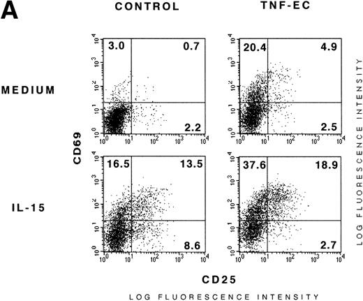 Fig. 4. IL-15 cooperates with TNF-–activated ECs and ICAM-1 in the induction of CD69 T-cell expression. (A) Activated ECs do not enhance the induction of CD25 promoted by IL-15 in T cells. PBLs incubated in the presence or absence of fixed TNF-–activated ECs (TNF-EC and control, respectively) were stimulated for 18 hours in the presence or absence of IL-15 (15 ng/mL). Cells were collected and CD69/CD25 expression of CD3+ cells was analyzed by three-color flow cytometry. Numbers correspond to the percent of positive cells. A representative experiment out of three is shown. (B) Additive effect of IL-15 and activated ECs on the induction of CD69 in CD45RO memory T cells. PBLs were incubated alone (control) or on fixed TNF-–activated EC monolayers in the presence or absence of IL-15. After 18 hours of culture, CD69/CD45RO expression of CD3+cells was analyzed by three-color flow cytometry. Numbers correspond to the percent of positive cells. A representative experiment out of three is shown. (C) Additive effect of IL-15 and ICAM-1 on the induction of expression of CD69 by T cells. PBLs were plated on BSA (1%) or ICAM-1 (20 μg/mL) precoated wells in the presence or absence of IL-15 (25 ng/mL). After 18 hours, cells were collected and CD69 expression in CD3+ T cells was measured and is shown as percentage of positive T cells. A representative experiment out of five is shown.