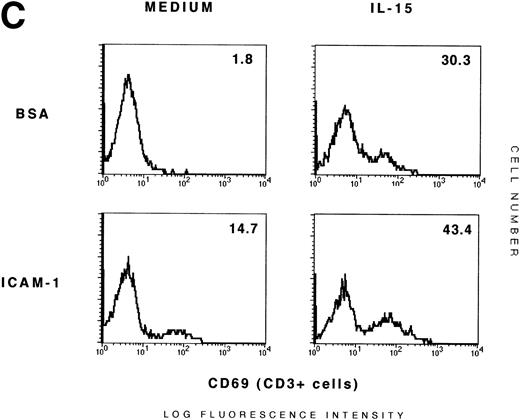 Fig. 4. IL-15 cooperates with TNF-–activated ECs and ICAM-1 in the induction of CD69 T-cell expression. (A) Activated ECs do not enhance the induction of CD25 promoted by IL-15 in T cells. PBLs incubated in the presence or absence of fixed TNF-–activated ECs (TNF-EC and control, respectively) were stimulated for 18 hours in the presence or absence of IL-15 (15 ng/mL). Cells were collected and CD69/CD25 expression of CD3+ cells was analyzed by three-color flow cytometry. Numbers correspond to the percent of positive cells. A representative experiment out of three is shown. (B) Additive effect of IL-15 and activated ECs on the induction of CD69 in CD45RO memory T cells. PBLs were incubated alone (control) or on fixed TNF-–activated EC monolayers in the presence or absence of IL-15. After 18 hours of culture, CD69/CD45RO expression of CD3+cells was analyzed by three-color flow cytometry. Numbers correspond to the percent of positive cells. A representative experiment out of three is shown. (C) Additive effect of IL-15 and ICAM-1 on the induction of expression of CD69 by T cells. PBLs were plated on BSA (1%) or ICAM-1 (20 μg/mL) precoated wells in the presence or absence of IL-15 (25 ng/mL). After 18 hours, cells were collected and CD69 expression in CD3+ T cells was measured and is shown as percentage of positive T cells. A representative experiment out of five is shown.