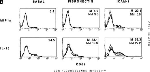 Fig. 6. Induction of T-cell activation during transmigration. (A) Additive effect of transendothelial migration and IL-15 on the expression of CD69 by T cells. PBTLs (>97% CD3+) were added to the upper compartment of Transwell chemotaxis chambers precoated with resting (HMEC-1) or TNF-–activated HMEC-1 cells (TNF–HMEC-1). In the lower chamber MIP1 (20 ng/mL) or IL-15 (15 ng/mL) were added as chemoattractants. As control, T cells were incubated with these cytokines in the absence of ECs. After 16 hours, control, upper chamber, and lower chamber T cells were separately collected and the expression of CD69 in CD3+ cells was measured by two-color flow cytometry. The thin lines and percentages correspond to the upper chamber T cells (NM, nonmigrated) and the thick lines and percentages to T cells migrated to the lower chamber (M, migrated).The proportion of migrated T cells for MIP1 is 25.1% (HMEC-1) and 30.6% (TNF–HMEC-1), and for IL-15 is 33.8% (HMEC-1) and 37.3% (TNF–HMEC-1). A representative experiment out of three is shown. (B) Additive effect of transmigration across ICAM-1–coated membranes and IL-15 on T-cell activation. PBTLs were plated in the upper compartment of FN (20 μg/mL) or rsICAM-1 (20 μg/mL) precoated Transwell chemotaxis chambers and MIP1 (20 ng/mL) or IL-15 (15 ng/mL) were added as chemoattractants in the lower chamber. Control cells were incubated as in (A). After 16 hours, T cells from both chambers were collected separately and the expression of CD69 in CD3+ cells was measured. The thin lines and percentages correspond to nonmigrated (NM) T cells from the upper chamber and the thick lines and percentages are referred to migrated (M) cells from the lower chamber. The proportion of migrated cells for MIP1 is 32.4% (FN) and 37.1% (ICAM-1), and for IL-15 is 42.8% (FN) and 47.6% (ICAM-1). A representative experiment out of three is shown.