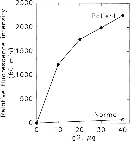Fig. 3. Mixing the patient’s IgG with thrombin-modified factor XIII (rA2′) generates transamidase activity even in the absence of Ca2+. Recombinant factor XIII A2 subunits (25 μg/mL rA2 in 50 mmol/L Tris-HCl, pH 7.5) were treated with 1.25 U/mL of human -thrombin at room temperature for 20 minutes. Reactions were performed at 37°C in a total volume of 125 μL with 40 μg of normal (○) or varying concentrations of patient (•) IgG (isolated on a Protein A column from serum drawn 9/12/91), 50 mmol/L Tris-HCl, pH 7.5, 2 mg/mL N,N-dimethylcasein, 0.5 mmol/L dansylcadaverine, and 0.25 μg rA2′. The increase in fluorescence intensity accompanying the amine incorporation reaction at 60 minutes is shown.