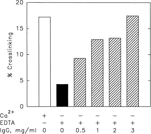 Fig. 5. The patient’s IgG can also promote the cross-linking of the recombinant γC30 fragment of fibrinogen by rA2′ in the absence of Ca2+. The 25-μL reaction mixtures contained 50 mmol/L Tris-HCl, pH 7.5, 150 mmol/L NaCl, γC30 (160 μg/mL; 5.3 μmol/L), and either no IgG (solid bar) or patient IgG (0.5 to 3 mg/mL; shaded bars; IgG isolated on a Protein A column from serum drawn 9/12/91), rA2′ (thrombin-activated and hirudin-quenched rA2, 10 μg/mL; 0.625 μmol/L) and 1 mmol/L EDTA. For controls, either 5 mmol/L CaCl2 replaced EDTA in the absence of IgG (open bar), or 2 mg/mL normal IgG was used instead of patient IgG (not shown). After the cross-linking reaction (4 hours, 37°C), the samples were analyzed by SDS-PAGE under nonreduced conditions on 10% acrylamide. The percentage of dimerically cross-linked γC30 products was obtained from densitometric scanning of the Coomassie brilliant blue R stained gel bands, calculated as(γC30)2γC30 + (γC30)2 × 100