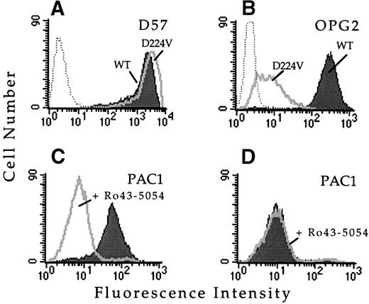 Fig. 1. Substitution of IIb amino acid residue D224 results in a loss of ligand binding function. FACS histograms depicting the binding of the IIbβ3complex-specific MoAb D57, the activation-independent ligand mimetic MoAb OPG2, or the ligand mimetic MoAb PAC1 to CHO cells transfected with wild-type IIbβ3 or IIbD224Vβ3. (A) MoAb D57 staining of cells transfected with IIbβ3 (shaded histogram) or IIbD224Vβ3 (open histogram). Untransfected CHO cells are depicted by the dotted histogram. (B) MoAb OPG2 staining of the IIbβ3 (shaded histogram) or IIbD224Vβ3 (open histogram) transfected cells. Untransfected CHO cells are depicted by the dotted histogram. Cells expressing wild-type IIbβ3 (C) or IIbD224Vβ3 (D) were activated by incubation with 4 μmol/L anti-LIBS6 for 30 minutes followed by the addition of MoAb PAC1 (IgM). Cells were washed, stained with fluorescein-conjugated goat antimouse IgM for 30 minutes, and analyzed by FACS. The binding of PAC1was analyzed in the presence (open histogram) and absence (shaded histogram) of the competitve inhibitor Ro43-5054.