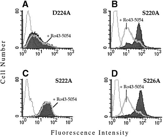 Fig. 3. PAC1 binding to the IIbβ3-mutant receptors. The binding of the activation-dependent ligand mimetic antibody PAC1 to CHO cells transfected with the indicated IIb mutant and the β3 subunit was examined by flow cytometry. To determine PAC1 binding, transfected cells were incubated (activated) with 4 μmol/L anti-LIBS6, followed by the addition of PAC1. The binding of PAC1 was analyzed in the presence (open histogram) and absence (shaded histogram) of the competitve inhibitor Ro43-5054. Untransfected CHO cells stained with PAC1 in the presence of anti-LIBS6 are depicted by the dotted histogram.