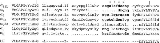Fig. 4. Alignment of integrin subunits between the type III and IV homologous repeats. The alignment was created using the UWGCG program “pretty.” The amino acid sequences of the integrin subunits are shown using the single letter code. Alanine substitutions are indicated (*). The boundaries of exon 5 of IIb are indicated by vertical lines. Bold letters indicate residues with oxygen containing side chains. CN, consensus sequence.
