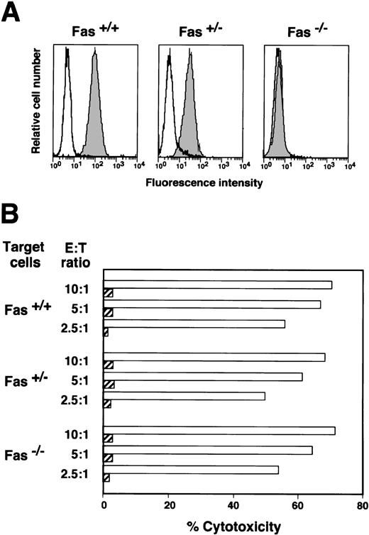 Fig. 3. Cytotoxicity of HO-1 against Fas-positive and -negative target cells. (A) B-LCLs were established from the donor for HO-1 (Fas+/+), the patient’s father (Fas+/−), and the patient with Fas deficiency (Fas−/−). Cells were stained with FITC-conjugated mouse anti-Fas MoAb (shaded histograms) or FITC-conjugated mouse IgG (open histograms). The fluorescence profiles were analyzed with a flow cytometer. (B) HO-1–induced lysis of DEK-CAN peptide-loaded (open columns) and unloaded (shaded columns) target cells was determined by51Cr release assays over 4 hours at E:T ratios of 10:1, 5:1, and 2.5:1.